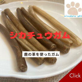 犬用 ガム シカチュウガム (鹿の革) 太巻きタイプ 7本入り デンタルスティック 鹿革 犬のガム 犬 おやつ 無添加 国産 ペット 着色料不使用 ハミガキガム 歯磨きガム 口臭ケア 犬用おやつ 送料無料 オヤツ 大型犬 中型犬用 小型犬