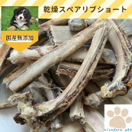 鹿の乾燥スペアリブ ショートタイプ 100g 犬 おやつ 無添加 国産 エゾ鹿 骨 鹿 鹿の骨 鹿骨 鹿肉 あばら …