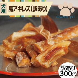 nALX 󂠂 300g  TCY f^PA K p n W[L[ Y   Y Y F Y A  ᎉb hbOt[h AQ t