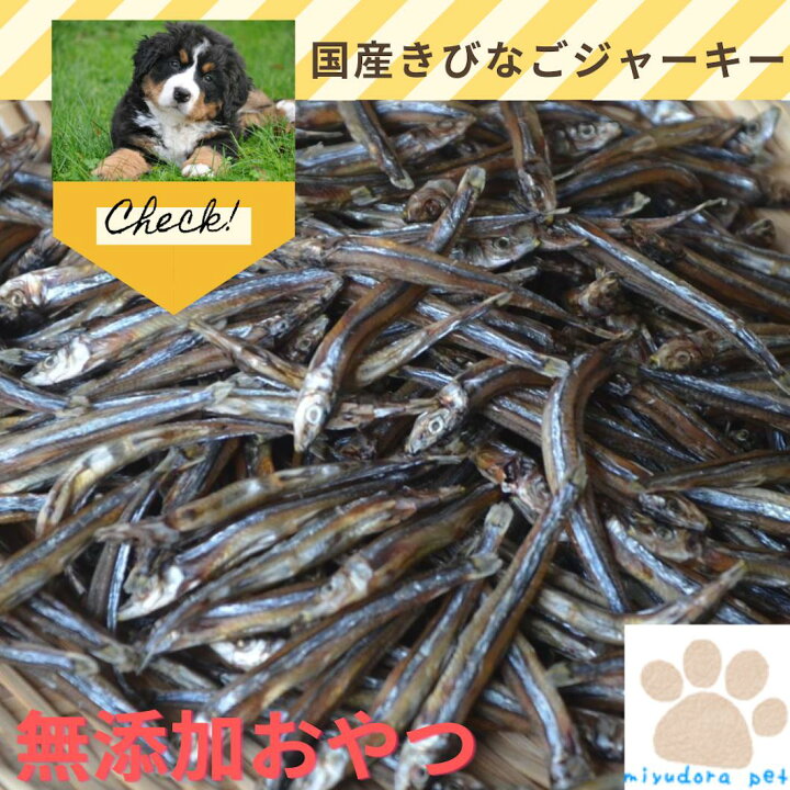 楽天市場 犬 おやつ 無添加 きびなごジャーキー５０ｇ ２個 国産 きびなご 送料無料 キビナゴ 魚 猫 ネコ ペット ジャーキー オヤツ 高級 プレゼント ギフト 低カロリー アレルギー シニア 小型犬 犬のおやつ 生肉 Miyudora Pet