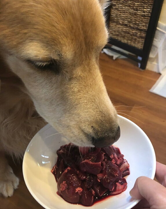 楽天市場 鹿肉 パーフェクトミックス ぶつ切り 1kg 国産 犬用 生肉 ペット 冷凍 大型犬 ドッグフード 犬 ご飯 手作り トッピング 人気 おすすめ 犬 ごはん 生肉 低カロリー 低アレルギー グルテンフリー 無添加ドッグフード 犬のおやつ 生肉 Miyudora Pet