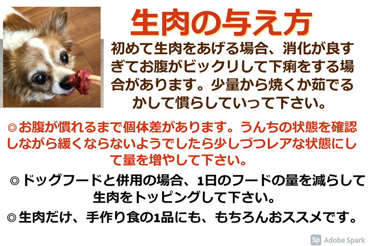 楽天市場 犬用 生肉 鹿肉 パーフェクトミックスぶつ切り 5kg １ｋｇ 5個 お得セット 大型犬 多頭飼い 大容量 国産 犬 ごはん 生肉 トッピング ドッグフード ウエットフード ペット 低アレルギー 低カロリー グルテンフリー 人気 おすすめ 犬のおやつ 生肉 Miyudora Pet