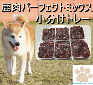 p[tFNg~bNXg[ 1kg    p  ybgp ~` ybg r҂ e p Č gCv[h ^ ^̎H gbsO H hbOt