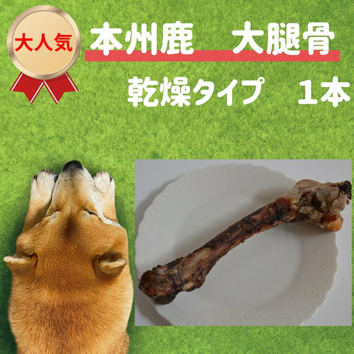 楽天市場 犬 おやつ 無添加 鹿の大腿骨乾燥タイプ 骨 おやつ 長持ち オヤツ 硬い 犬 留守番 歯磨き おもちゃ 国産 鹿肉 ガム ほね 大型犬 中型 犬 人気 おすすめ ミユドラ 専門店 通販 オモチャ 手作り プレゼント ジビエ 低カロリー 低アレルギー 犬のおやつ