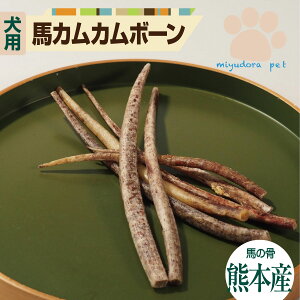 Yn JJ{[ 100g   Y Y  ^K Y ΂獜   ^ ^ n
