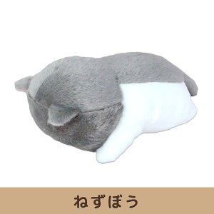 newyzyڂ݂Ȃ˂zʂ݁@Ԃ@S5@L@L@L@G @lR@˂@TCY ڂ˂@CeAG݁@v[gɁ@NX}X@̓