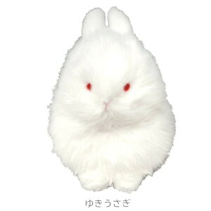 newyz킽ہ@ʂ݁@䂫@V}GiK@ˁ@ӂ낤(S4)@ʂ݁@@TCY@CeA@G @v[gɁ@NX}X 䂫