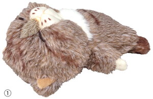 newyzyڂ݂Ȃ˂zʂ݁@lRȃV[Y(3)@ڂ˂@ʂ݁@S7@L@L@G @lR@˂@TCY@CeAG݁@v[g