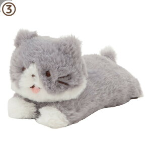 �y���������zFFN����ɂ��ʂ������( �ʂ������ / �������}�X�R�b�g)�ʂ�����݁@�G�� �����@�l�R�@�˂��@�������T�C�Y�@�C���e���A�@�G�� �@�v���[���g�Ɂ@2163555021123�@Fuku Fuku Nyanko