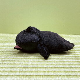 【即日発送】大人気【ぼうねこ】ぼうみたいなねこ　ぬいぐるみ　全7種　猫　猫　雑貨 可愛い　ネコ　ねこ　小さいサイズ　インテリア雑貨　プレゼントに　クリスマス　母の日　プレゼントに