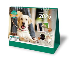 2025N{ӓ`eB[J_[ ^Cv KY-201