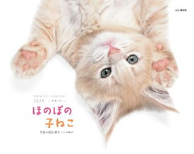 カレンダー2025 ほのぼの子ねこ（月めくり/壁掛け） (ヤマケイカレンダー2025)