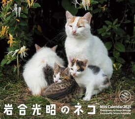 2025ミニカレンダー　岩合光昭のネコ ([カレンダー])