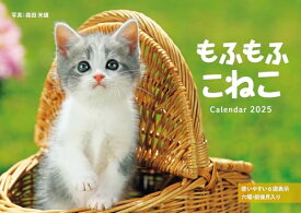 カレンダー2025 もふもふこねこ（月めくり/壁掛け） (インプレスカレンダー2025)