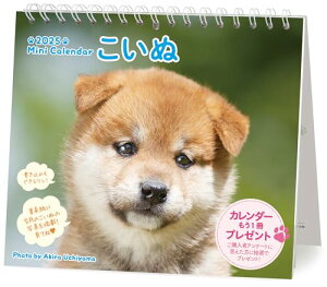 2025 ~jJ_[ʁiEǊ|j ([J_[])