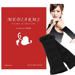 MediArms(fBA[Y) rpT|[^[ ̘rVFCp[ (1Zbg(2))