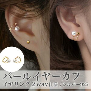 C[Jt p[  CJt C[JtX S[h  Ԃ fB[X Mtg ANZT[