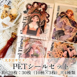 PETXebJ[ R[WV[l PETf PETV[ ̎q R[Wf  CO Zbg WNW[i R[W  