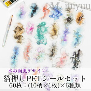 PETXebJ[ R[WV[ Jt PETf PETV[ R[Wf  CO Zbg  R[W 