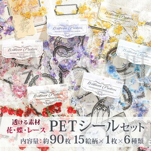 petV[ [X PETXebJ[ R[WV[  R[Wf l PETV[  V[Zbg PETf WNW[i  [Xt[ `[t 蒠 Ao XNbvu