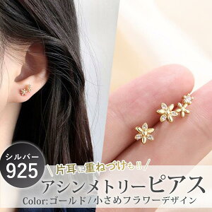 sAX AM[Ή  Vo[925  Ԃ WRjA Vv S[h fB[X  Mtg AVg[