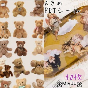 PETV[ V[ t[NV[ efBxA  Vg GWF PETf WNW[i R[W bsO COG CO 傫 킢