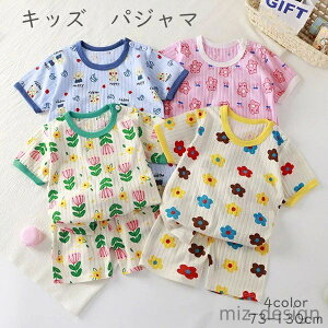 yzʋCQ [EFA   _炩   pW} Ԃ xr[pW}   ㉺Zbg q