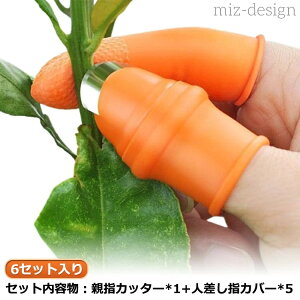 yz|p ewiCt ewiCt ؎npJb^[ iCt ʕnJb^[ nJb^[ VR nc[ nJb^[