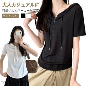 yzfB[X ڐG⊴ t[htTVc  Wbvp[J[ n[tWbv  p[J[ Jbg\[ g[i[