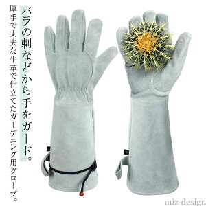 yzƂh~ |p Y O K[fjOO[u KNO[u o K[fjOO[u  op o gQ