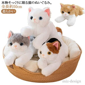 yz˂ Qׂ ʂ n L { A Ђ˂ AȔL̕ L̂ʂ lR  Aj}