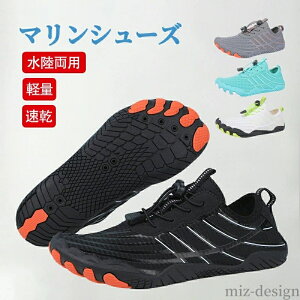 yz  C Vm[PO LbY fB[X Y C p ANAV[Y EH[^[V[Y r[`V[Y