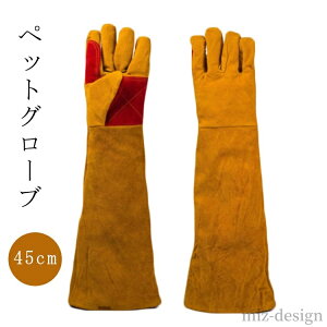 yzgg hn ybg  ˂hh~ X   L ݂h~ v ϋv L 45cm O[u ঒