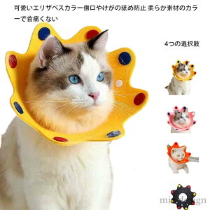 yz{^ r    ی p  p o[Vu z GJ _炩 \tgtFg p L  GJ