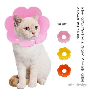 yz   PA p  \tgtFg _炩 ybg L  GJ GUxXJ[ \tgGUxXJ[