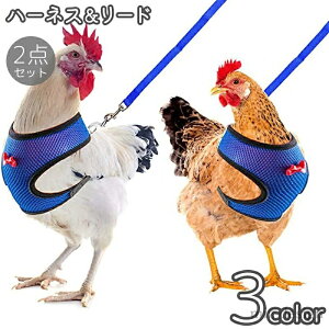 yzU ߉\  ʋC lN^C DJ bV  ybgpi L  p Aq {p 2_Zbg [h n[lX