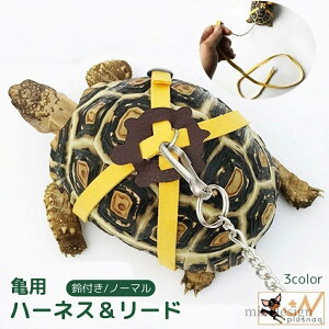 yz J TCY\ o U t Ђ [v [V ybgpi 2_Zbg [h Tpn[lX