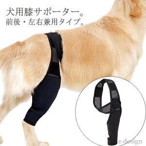 yzs⏕ ppi ybgpi V[g  nr Œ ֐ߕی O㍶Ep GT|[^[ ֐߃veN^[