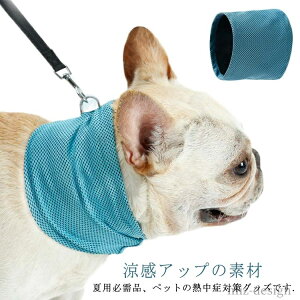 yz^ ^ pN[lbNN[[ Ђ uԗp ⊴XJ[t L  ⊴ ybg̏΍