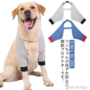 yznr Œ O֐ߕی ̏h~ T|[^[ G  O ybgp֐߃veN^[ ֐߃veN^[