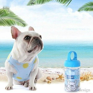 yz 悢Ђ芴 MǑ΍ObY ybgN[xXg Up COOLxXg p ⊴ N[xXg