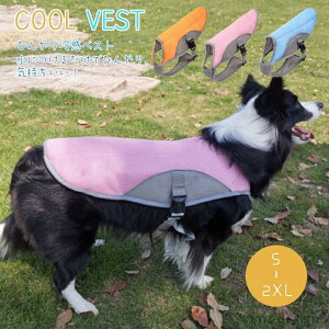 yz⊴ xXg ^ hbOEGA N[ N[EGA p  EFA Ђ ⊴xXg N[xXg ΍