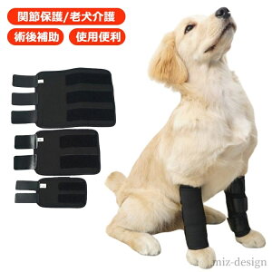 yzT|[g ybg  O ֐߃veN^[ ֐߃T|[^[ T|[^[ p  GT|[^[ pGT|[^[ 2Zbg