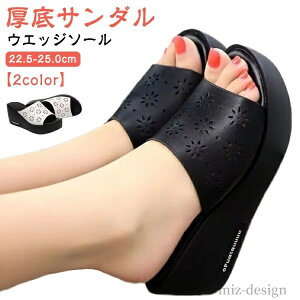 yzt  ɂ T_ T_ y EGbW\[ T{T_ r[`T_  ubN T_