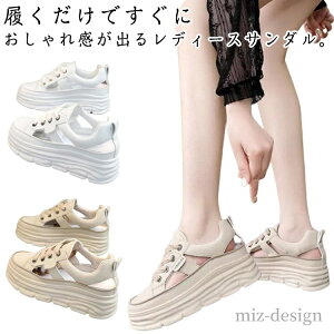 yzVv K r T}[T_ EFbW\[ T_  V[Y  fB[X Ȃ Xj[J[ ʋ