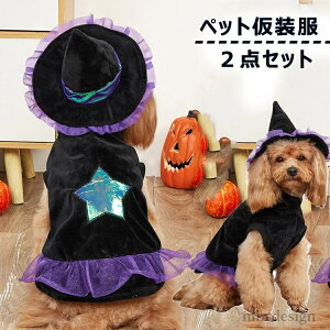 yzs[X p[J[ ޏ p[eB[ ybg nEB @g ybg̉  ybg RX`[