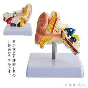 �y���������z���͌^ ��w�� ��t �l�̖͌^�V���[�Y ��w �}�� ��U ��� ���� �W�{ �p �w�K ���� ���� ���� ���w�p �l�̖͌^