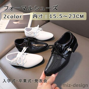 yz[Y Gi qC  Ǝ \ t   IV ₷ Zj[V[Y o Xe[W  ʊw ʉ sAm[Jbg ܎O