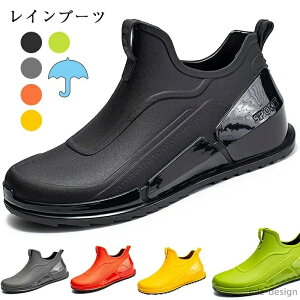 yzCu[c CV[Y Y | V[g u[c Xj[J[ JWAV[Y j Sh ~J΍ ~  傫TCY JC