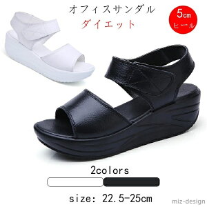 yz₷ rʃfUCpT_  y Ōt  y xN ItBXT_ fB[X T_